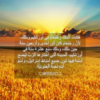 Picture 05 - ٢ أخبار 12:13 AVD - فَتَشَدَّدَ ٱلْمَلِكُ - Bible Verse Picture