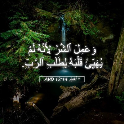 Picture 05 - ٢ أخبار 12:14 AVD - وَعَمِلَ ٱلشَّرَّ - Bible Verse Picture