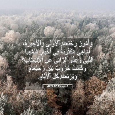 Picture 05 - ٢ أخبار 12:15 AVD - وَأُمُورُ رَحُبْعَامَ - Bible Verse Picture