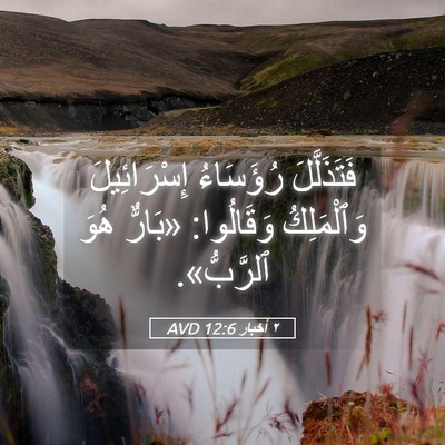 Picture 05 - ٢ أخبار 12:6 AVD - فَتَذَلَّلَ رُؤَسَاءُ - Bible Verse Picture