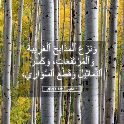 Picture 05 - ٢ أخبار 14:3 AVD - وَنَزَعَ ٱلْمَذَابِحَ - Bible Verse Picture