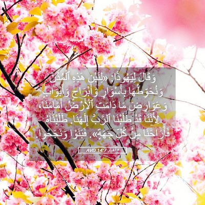 Picture 05 - ٢ أخبار 14:7 AVD - وَقَالَ لِيَهُوذَا: - Bible Verse Picture