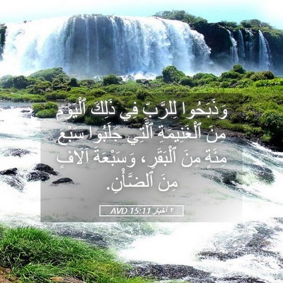 Picture 05 - ٢ أخبار 15:11 AVD - وَذَبَحُوا لِلرَّبِّ فِي - Bible Verse Picture