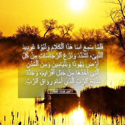 Picture 05 - ٢ أخبار 15:8 AVD - فَلَمَّا سَمِعَ آسَا هَذَا - Bible Verse Picture