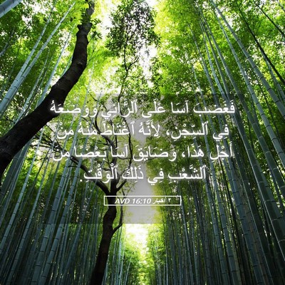 Picture 05 - ٢ أخبار 16:10 AVD - فَغَضِبَ آسَا عَلَى - Bible Verse Picture