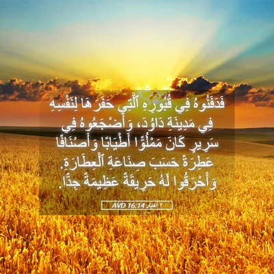 Picture 05 - ٢ أخبار 16:14 AVD - فَدَفَنُوهُ فِي قُبُورِهِ - Bible Verse Picture