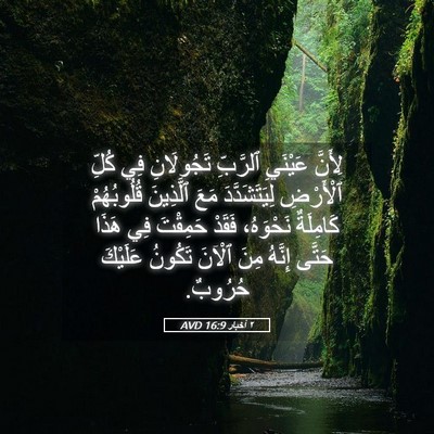 Picture 05 - ٢ أخبار 16:9 AVD - لِأَنَّ عَيْنَيِ ٱلرَّبِّ - Bible Verse Picture