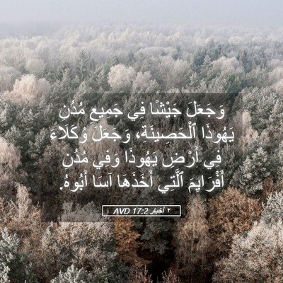 Picture 05 - ٢ أخبار 17:2 AVD - وَجَعَلَ جَيْشًا فِي - Bible Verse Picture