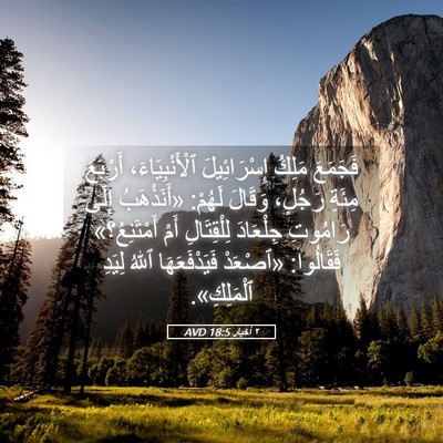 Picture 05 - ٢ أخبار 18:5 AVD - فَجَمَعَ مَلِكُ - Bible Verse Picture