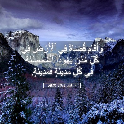 Picture 05 - ٢ أخبار 19:5 AVD - وَأَقَامَ قُضَاةً فِي - Bible Verse Picture