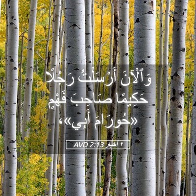Picture 05 - ٢ أخبار 2:13 AVD - وَٱلْآنَ أَرْسَلْتُ - Bible Verse Picture