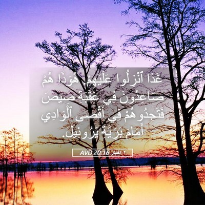 Picture 05 - ٢ أخبار 20:16 AVD - غَدًا ٱنْزِلُوا - Bible Verse Picture