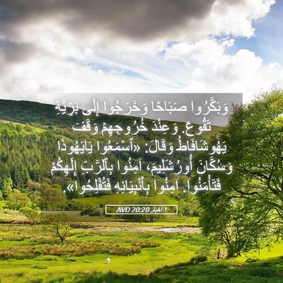 Picture 05 - ٢ أخبار 20:20 AVD - وَبَكَّرُوا صَبَاحًا - Bible Verse Picture