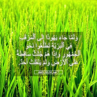 Picture 05 - ٢ أخبار 20:24 AVD - وَلَمَّا جَاءَ يَهُوذَا - Bible Verse Picture