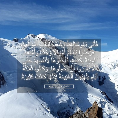 Picture 05 - ٢ أخبار 20:25 AVD - فَأَتَى يَهُوشَافَاطُ - Bible Verse Picture