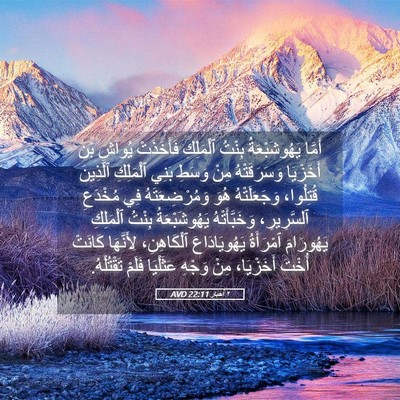 Picture 05 - ٢ أخبار 22:11 AVD - أَمَّا يَهُوشَبْعَةُ - Bible Verse Picture