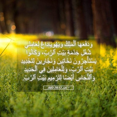 Picture 05 - ٢ أخبار 24:12 AVD - وَدَفَعَهَا ٱلْمَلِكُ - Bible Verse Picture