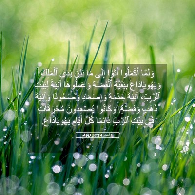 Picture 05 - ٢ أخبار 24:14 AVD - وَلَمَّا أَكْمَلُوا - Bible Verse Picture