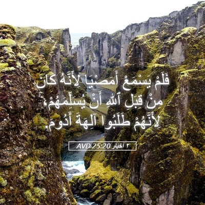Picture 05 - ٢ أخبار 25:20 AVD - فَلَمْ يَسْمَعْ أَمَصْيَا - Bible Verse Picture