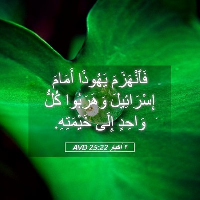 Picture 05 - ٢ أخبار 25:22 AVD - فَٱنْهَزَمَ يَهُوذَا - Bible Verse Picture