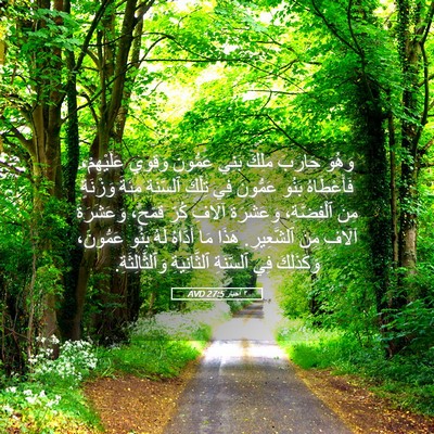 Picture 05 - ٢ أخبار 27:5 AVD - وَهُوَ حَارَبَ مَلِكَ - Bible Verse Picture