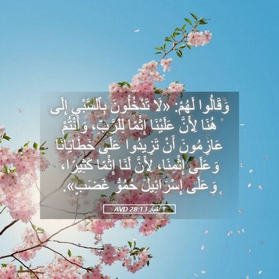 Picture 05 - ٢ أخبار 28:13 AVD - وَقَالُوا لَهُمْ: «لَا - Bible Verse Picture