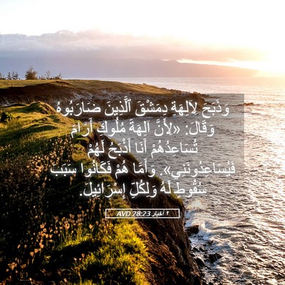 Picture 05 - ٢ أخبار 28:23 AVD - وَذَبَحَ لِآلِهَةِ - Bible Verse Picture