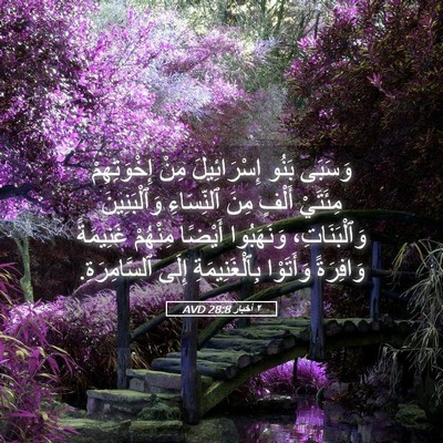 Picture 05 - ٢ أخبار 28:8 AVD - وَسَبَى بَنُو - Bible Verse Picture