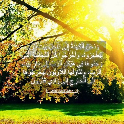 Picture 05 - ٢ أخبار 29:16 AVD - وَدَخَلَ ٱلْكَهَنَةُ - Bible Verse Picture