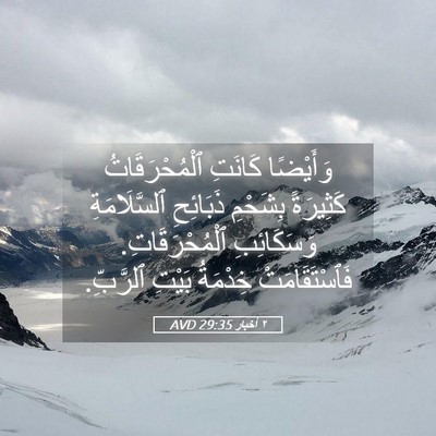 Picture 05 - ٢ أخبار 29:35 AVD - وَأَيْضًا كَانَتِ - Bible Verse Picture