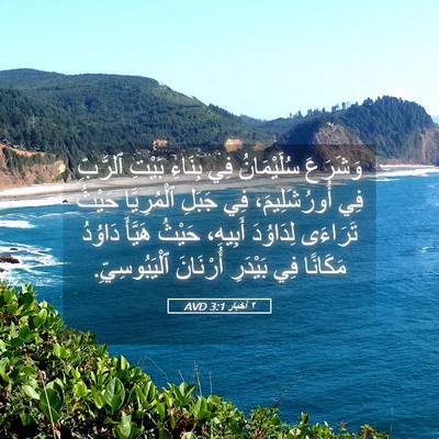 Picture 05 - ٢ أخبار 3:1 AVD - وَشَرَعَ سُلَيْمَانُ فِي - Bible Verse Picture