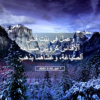 Picture 05 - ٢ أخبار 3:10 AVD - وَعَمِلَ فِي بَيْتِ قُدْسِ - Bible Verse Picture