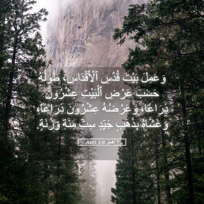 Picture 05 - ٢ أخبار 3:8 AVD - وَعَمِلَ بَيْتَ قُدْسِ - Bible Verse Picture