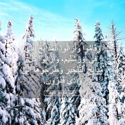 Picture 05 - ٢ أخبار 30:14 AVD - وَقَامُوا وَأَزَالُوا - Bible Verse Picture