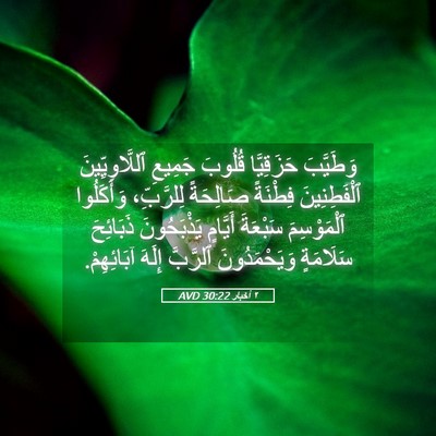 Picture 05 - ٢ أخبار 30:22 AVD - وَطَيَّبَ حَزَقِيَّا - Bible Verse Picture