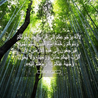 Picture 05 - ٢ أخبار 30:9 AVD - لِأَنَّهُ بِرُجُوعِكُمْ - Bible Verse Picture