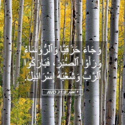 Picture 05 - ٢ أخبار 31:8 AVD - وَجَاءَ حَزَقِيَّا - Bible Verse Picture