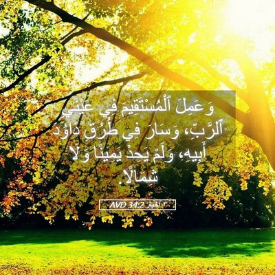 Picture 05 - ٢ أخبار 34:2 AVD - وَعَمِلَ ٱلْمُسْتَقِيمَ - Bible Verse Picture