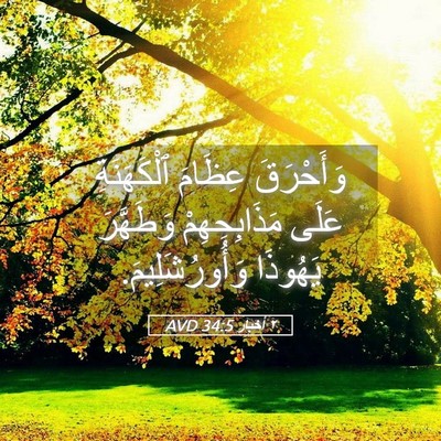 Picture 05 - ٢ أخبار 34:5 AVD - وَأَحْرَقَ عِظَامَ - Bible Verse Picture