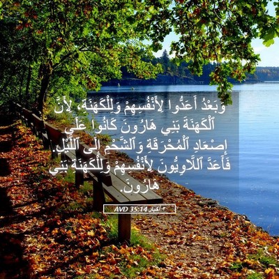 Picture 05 - ٢ أخبار 35:14 AVD - وَبَعْدُ أَعَدُّوا - Bible Verse Picture