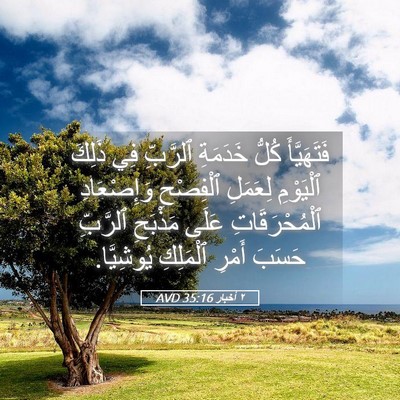 Picture 05 - ٢ أخبار 35:16 AVD - فَتَهَيَّأَ كُلُّ - Bible Verse Picture