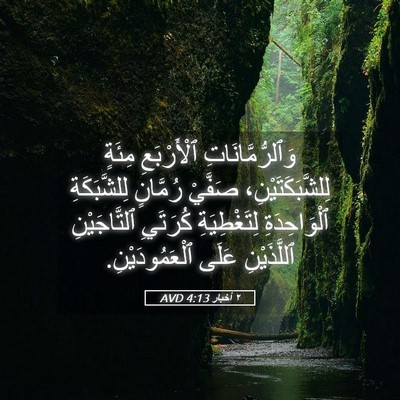 Picture 05 - ٢ أخبار 4:13 AVD - وَٱلرُّمَّانَاتِ - Bible Verse Picture