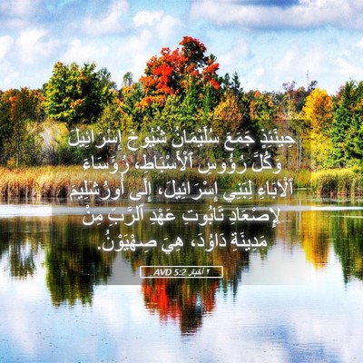 Picture 05 - ٢ أخبار 5:2 AVD - حِينَئِذٍ جَمَعَ - Bible Verse Picture