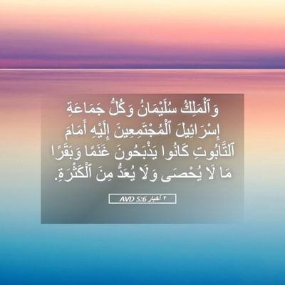 Picture 05 - ٢ أخبار 5:6 AVD - وَٱلْمَلِكُ سُلَيْمَانُ - Bible Verse Picture