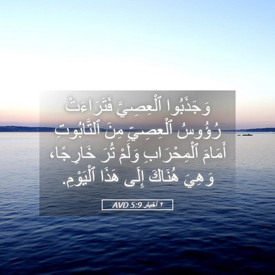 Picture 05 - ٢ أخبار 5:9 AVD - وَجَذَبُوا ٱلْعِصِيَّ - Bible Verse Picture