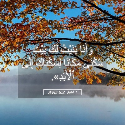 Picture 05 - ٢ أخبار 6:2 AVD - وَأَنَا بَنَيْتُ لَكَ - Bible Verse Picture