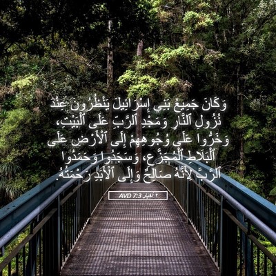 Picture 05 - ٢ أخبار 7:3 AVD - وَكَانَ جَمِيعُ بَنِي - Bible Verse Picture