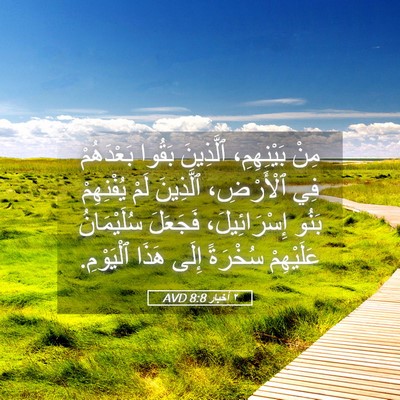 Picture 05 - ٢ أخبار 8:8 AVD - مِنْ بَيْنِهِمِ، - Bible Verse Picture