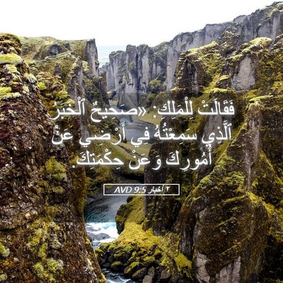 Picture 05 - ٢ أخبار 9:5 AVD - فَقَالَتْ لِلْمَلِكِ: - Bible Verse Picture