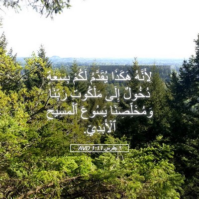 Picture 05 - ٢ بطرس 1:11 AVD - لِأَنَّهُ هَكَذَا - Bible Verse Picture